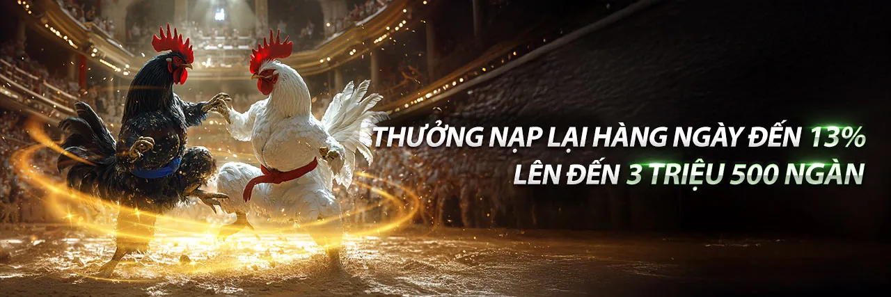 Đá gà cựa sắt trực tiếp - Trang chủ thông tin và hướng dẫn